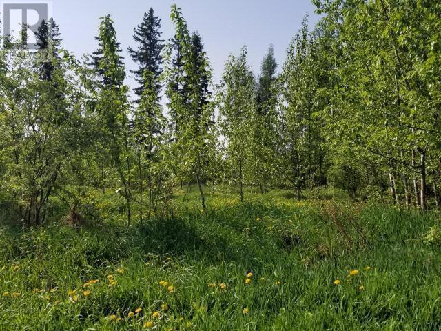 Property Photo:  4845 52 Avenue Southwest  BC V0C 1J0 
