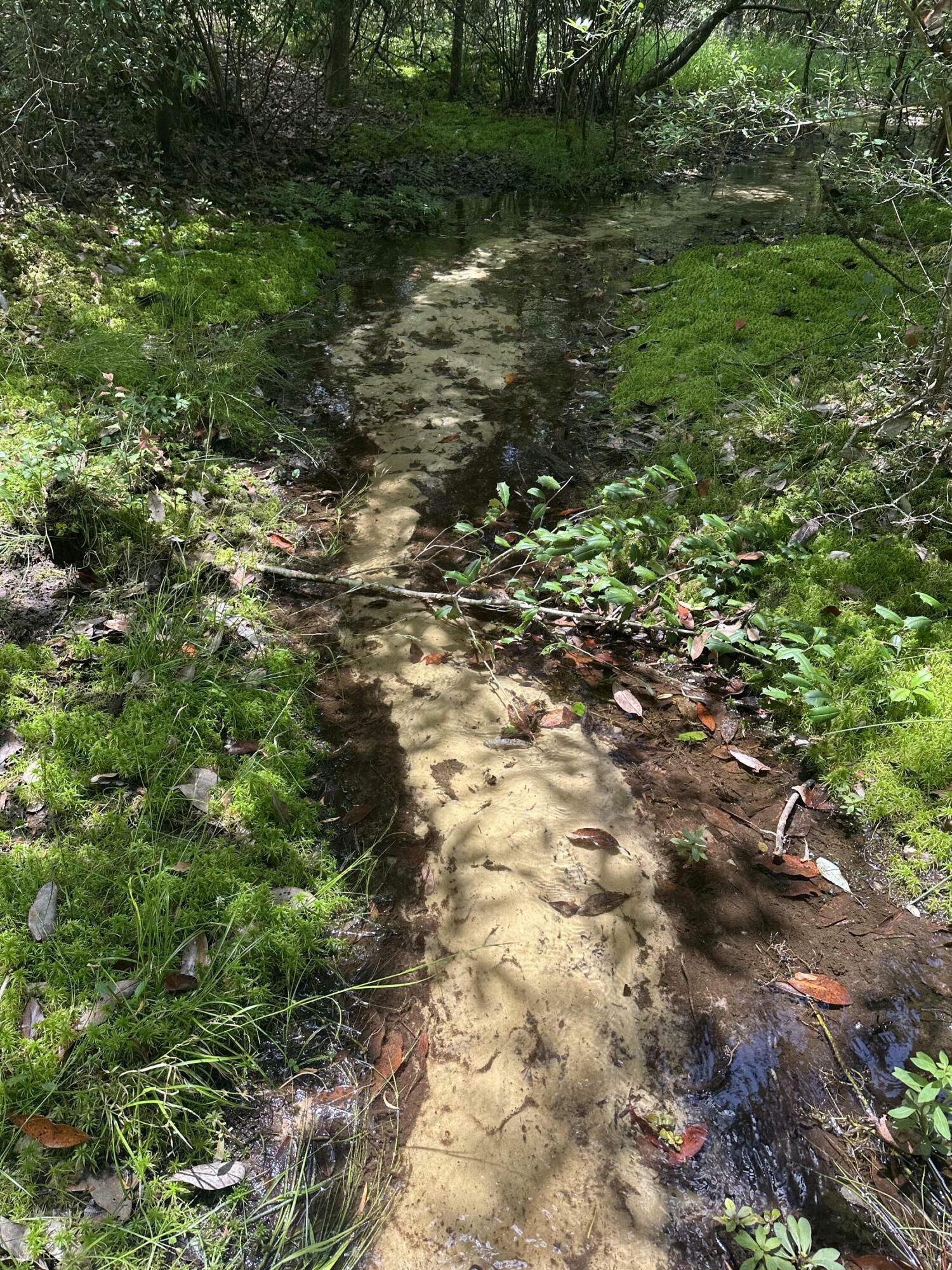 Property Photo:  000 Co Hwy 1084  FL 32433 