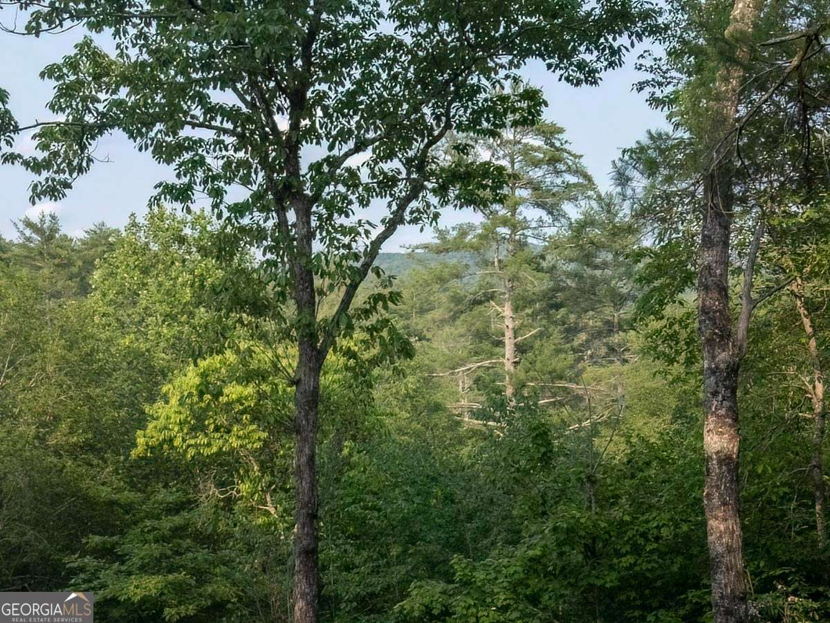 Property Photo: 9 Dean Court GA 30513