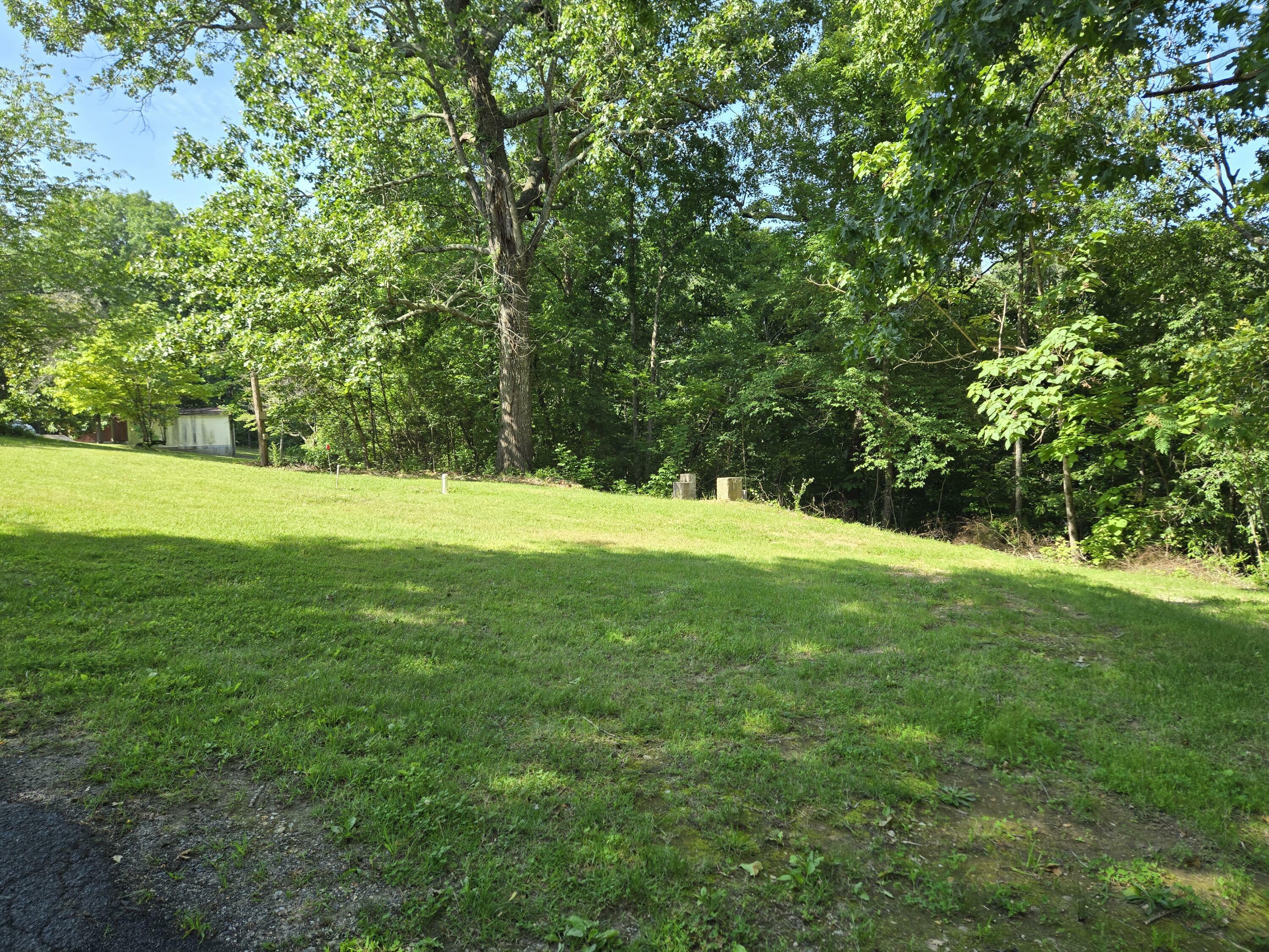 Property Photo: 81 Shrader Lane GA 30736