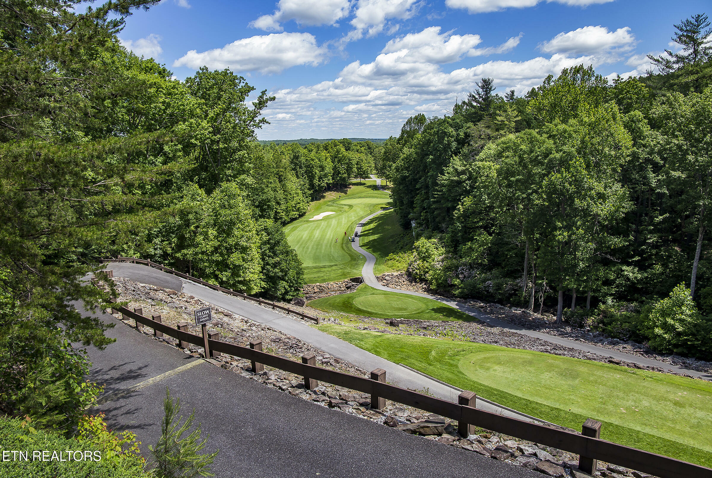 Property Photo:  100 Hanning Drive  TN 38558 