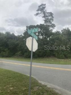 Property Photo: 00 SW 158 Street FL 34473