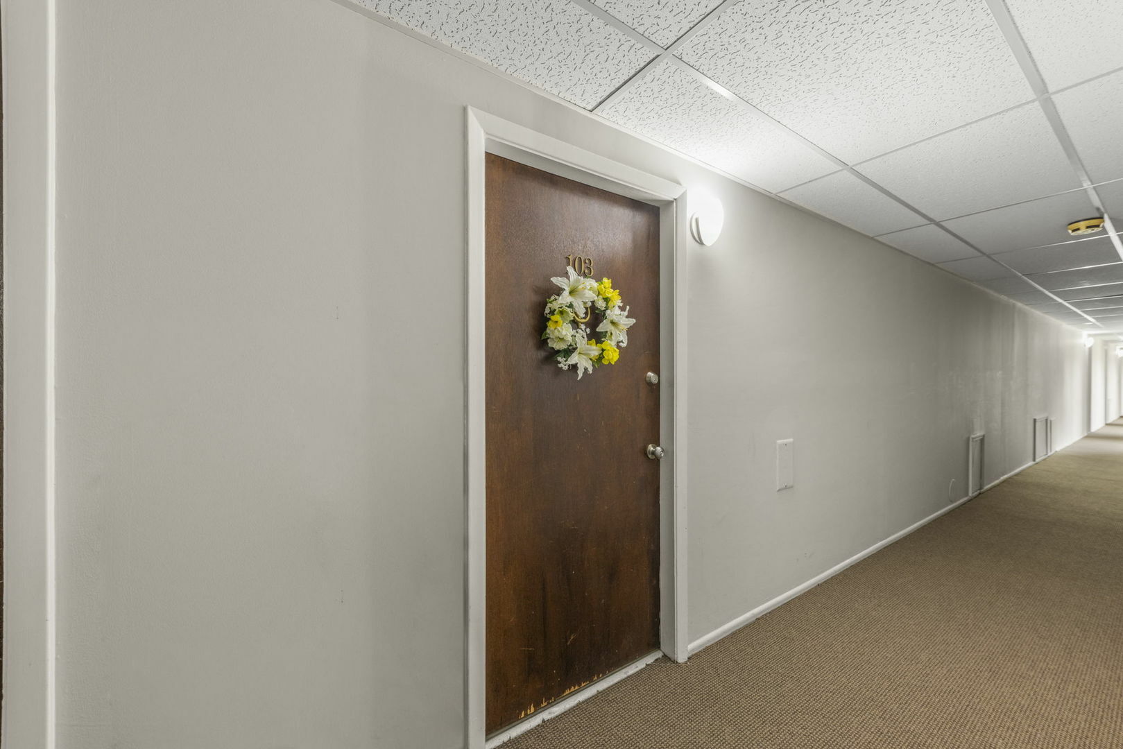 Property Photo: 212A Collen Drive 103 IL 60148