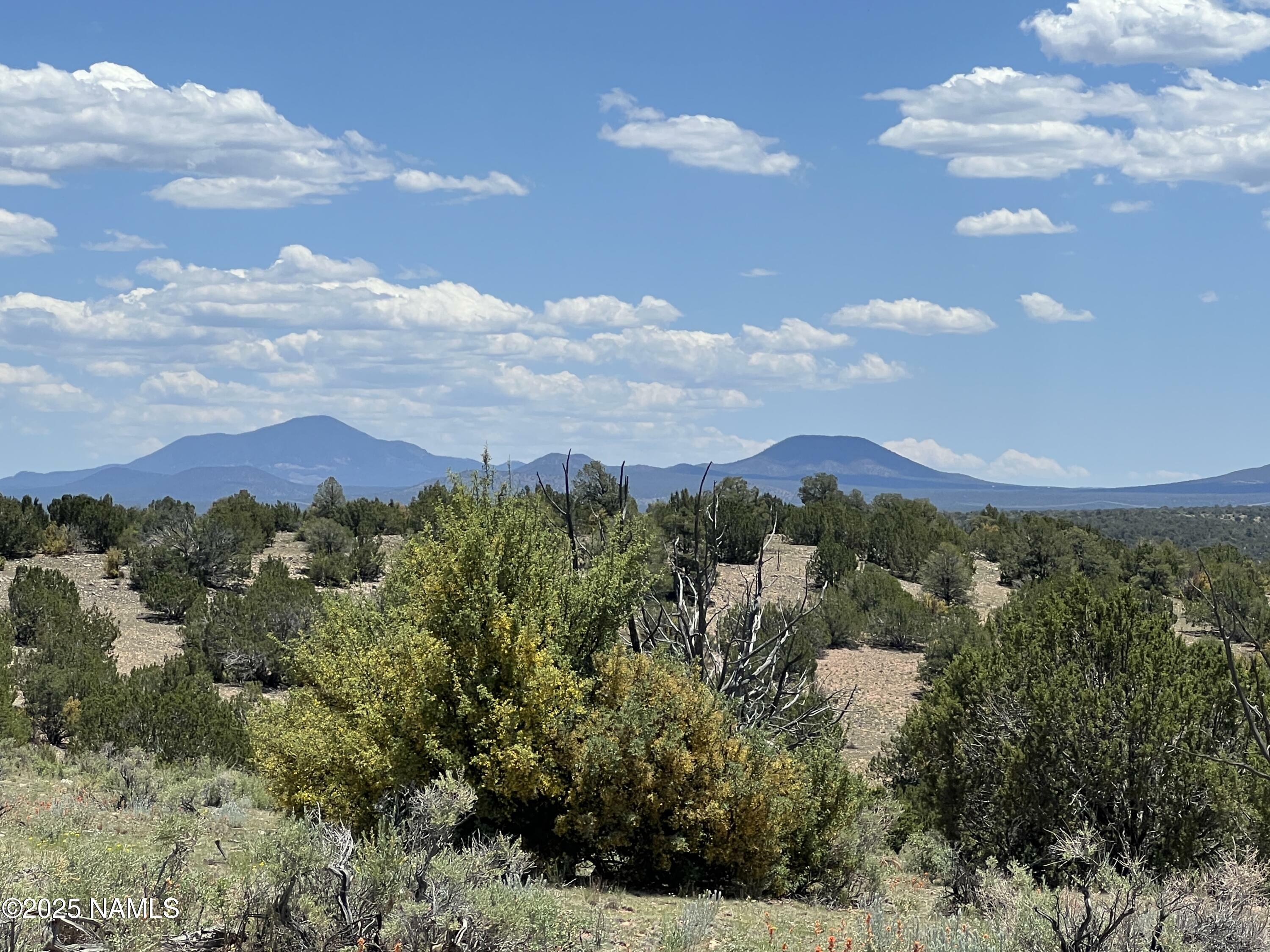 Property Photo:  8834 Northstar Road  AZ 86046 