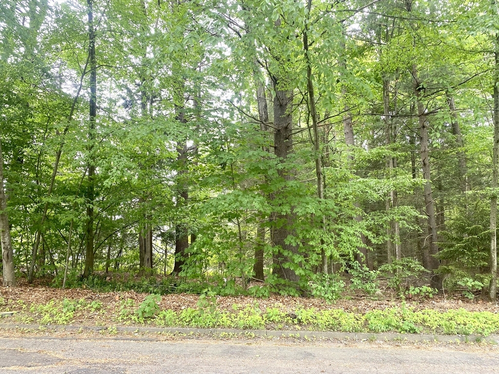 Property Photo: Lot 0 Surrey Lane MA 01085