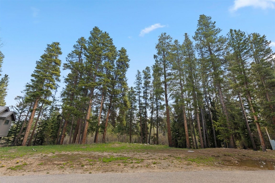 Property Photo: 28 Tall Pines Drive CO 80424