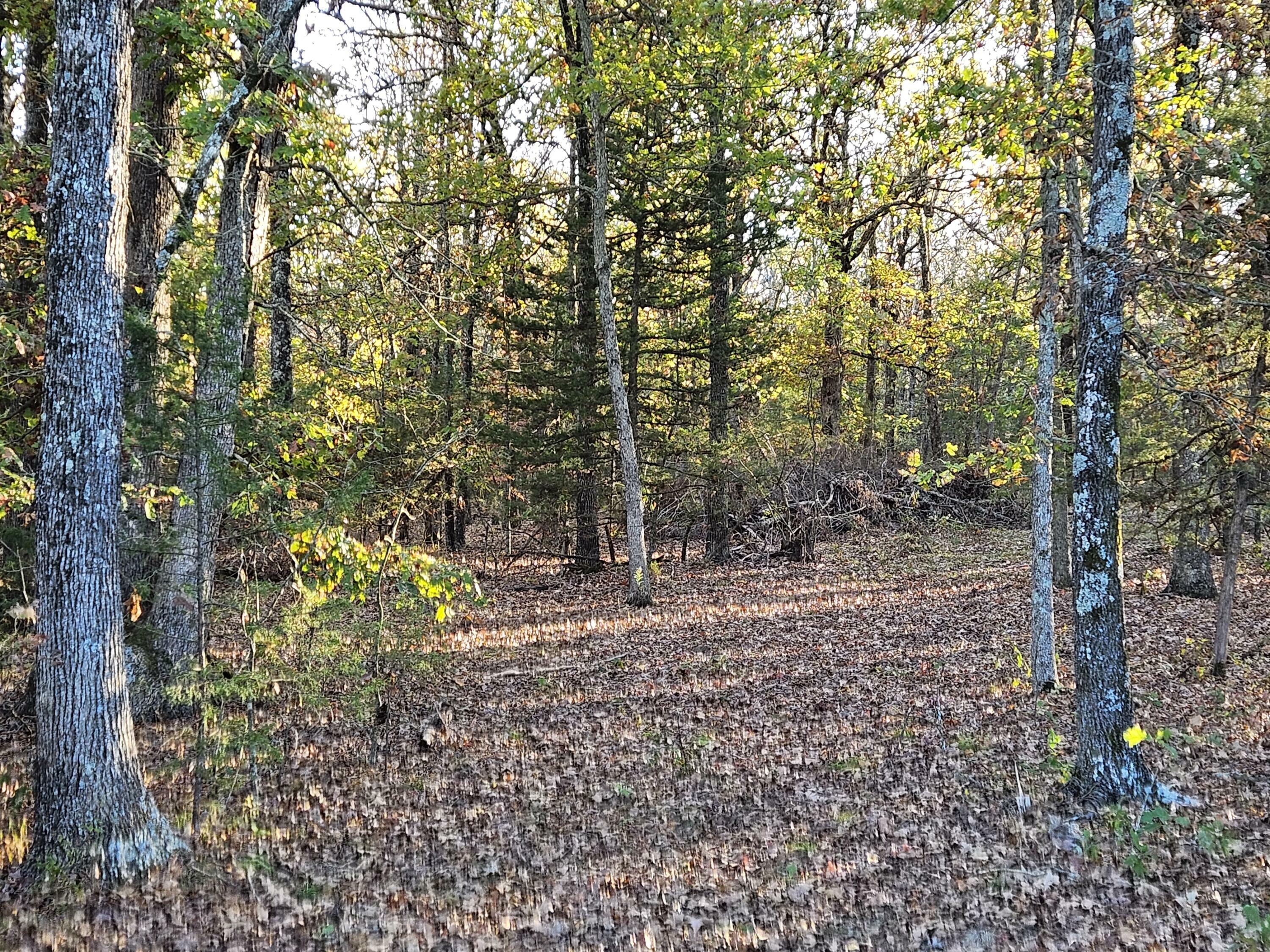 Property Photo: Tract 4 State Highway 174 MO 65705
