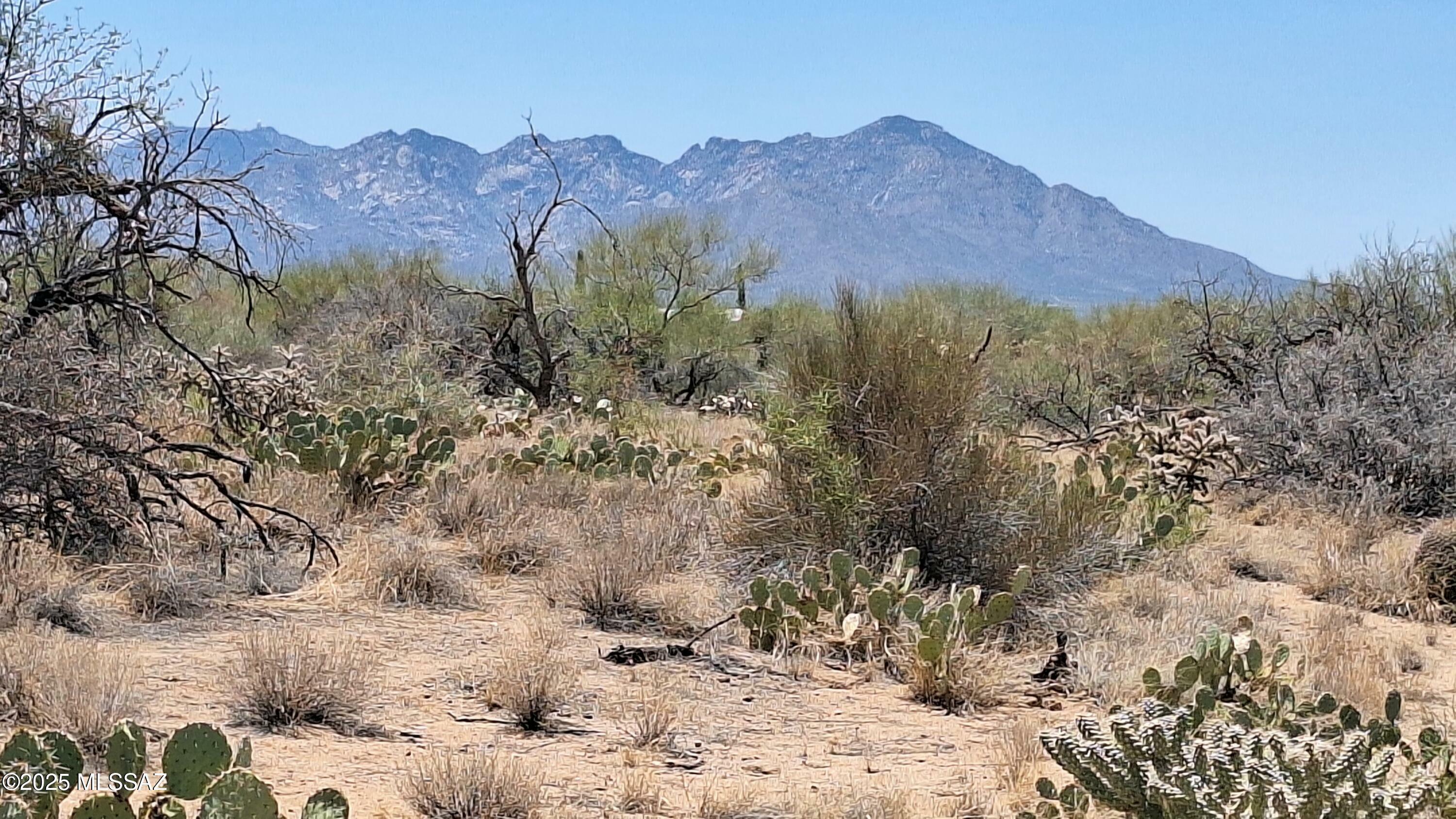 Property Photo: 14465 S Ezra Place AZ 85736