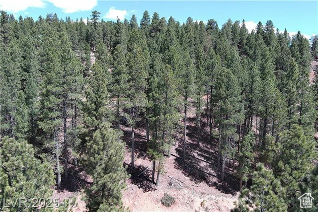 2195 E Sleepy Ln 34  Kanab UT 84741 photo