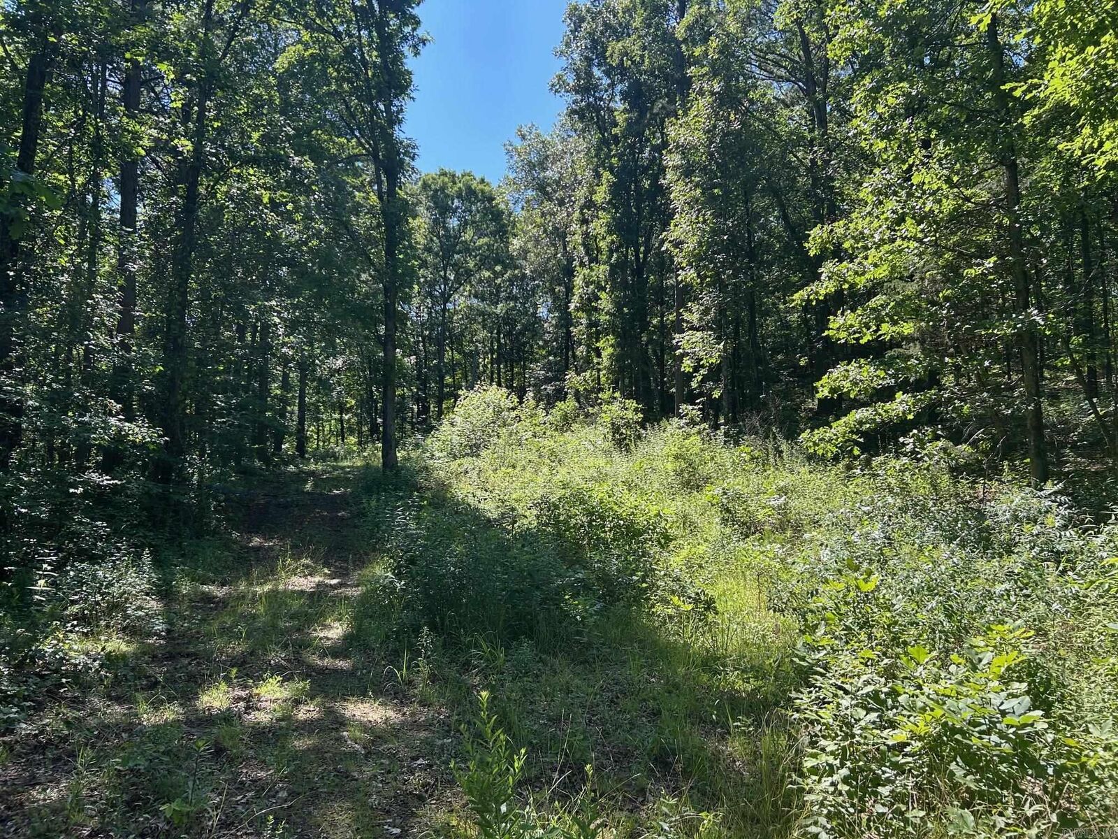 Property Photo:  Timber Grove Road  AR 72031 