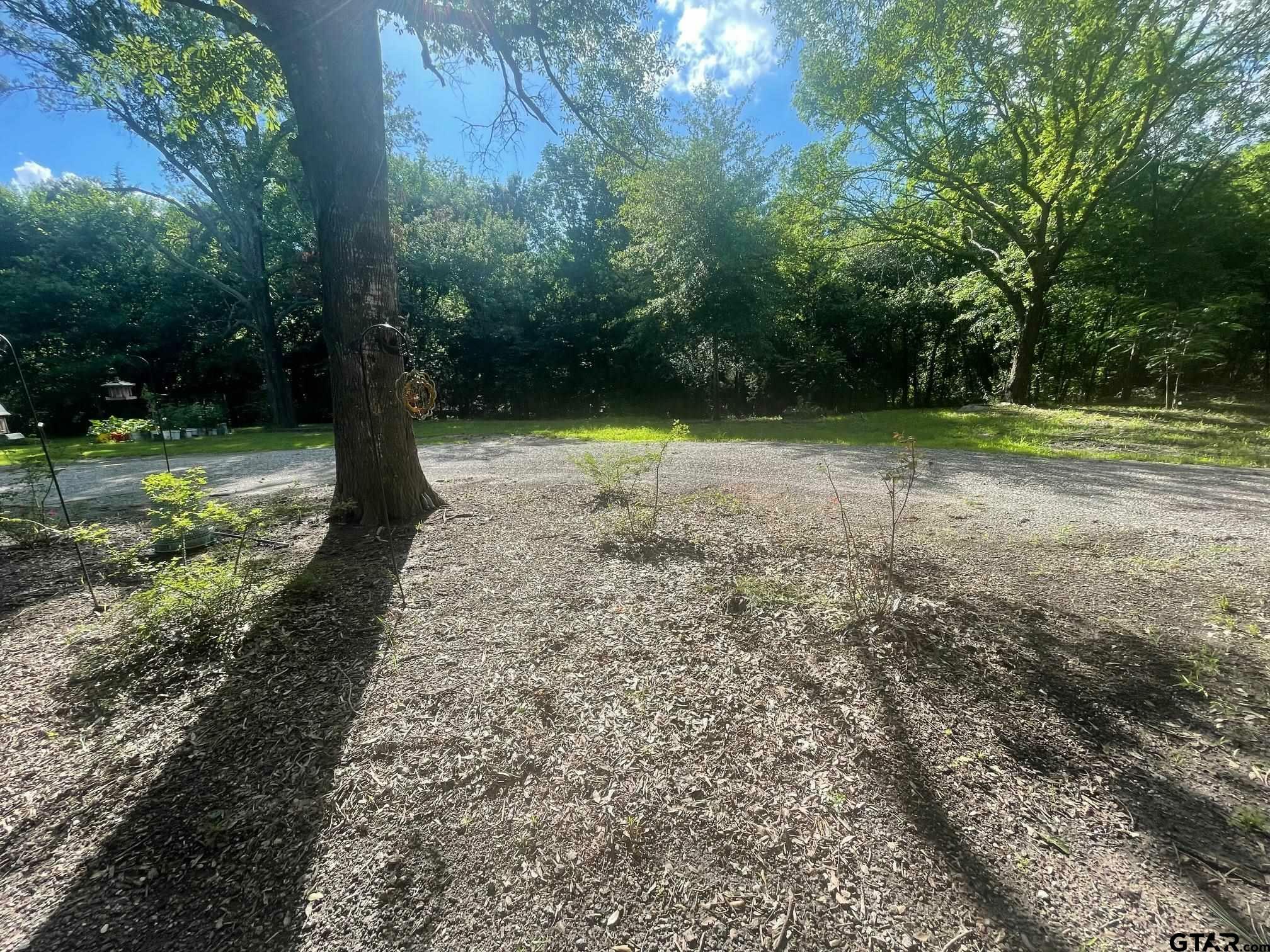 Property Photo: 259 County Road 1676 TX 75410