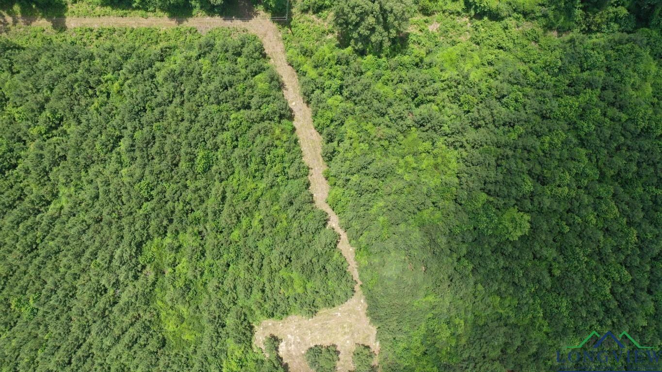 Property Photo: 0000 Cr 1782 TX 75563