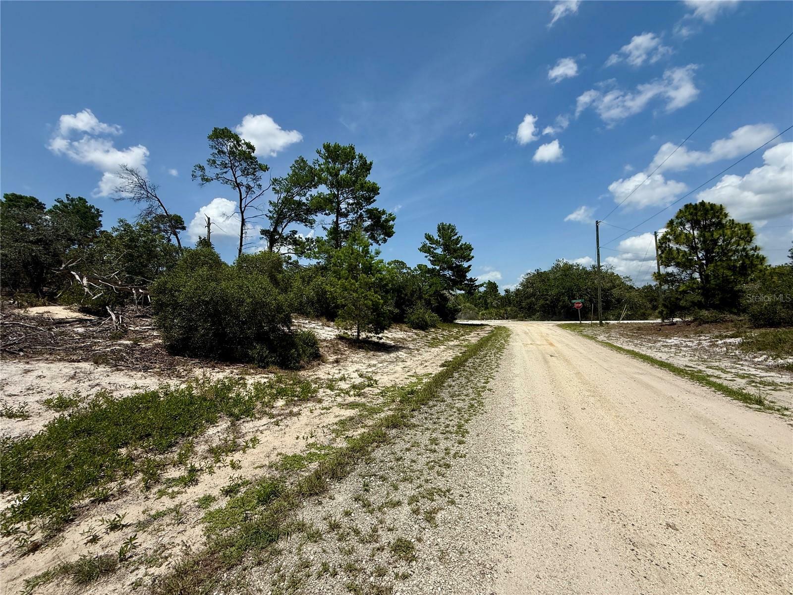 Property Photo: 454 Apple Blossom Court FL 33852