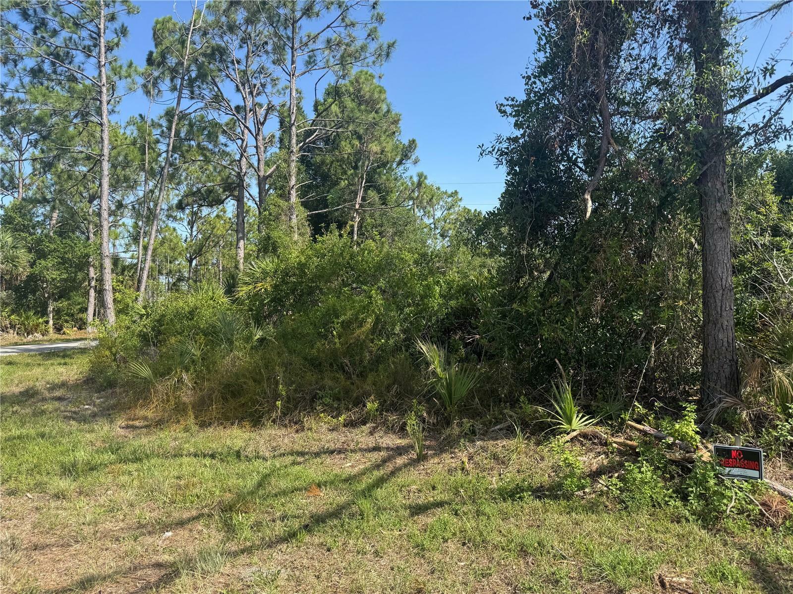 Property Photo: 12231 Gerrity Avenue FL 33981