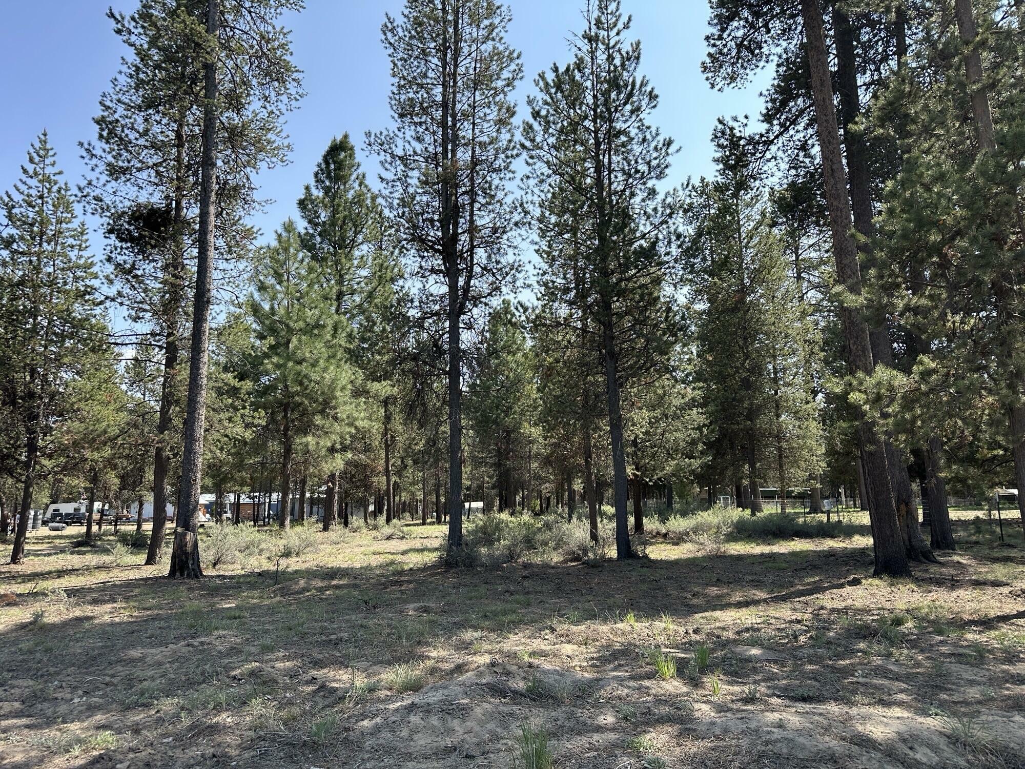 Property Photo: 15929 Sparks Drive OR 97739