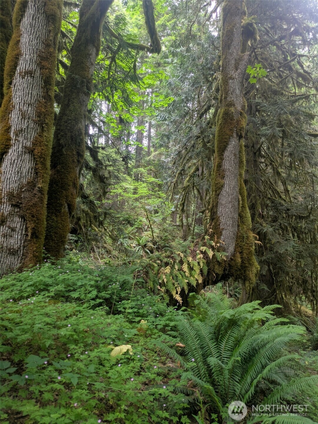 Property Photo: 64315 Lookout Mountain Loop 1D170 WA 98267