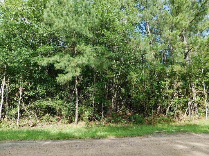 Property Photo: 000 Cravens Camp Rd Lot 21 TX 77656