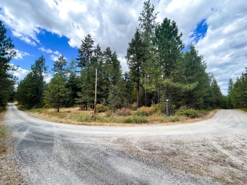 11618 E Dusty Ln  Chattaroy WA 99003 photo