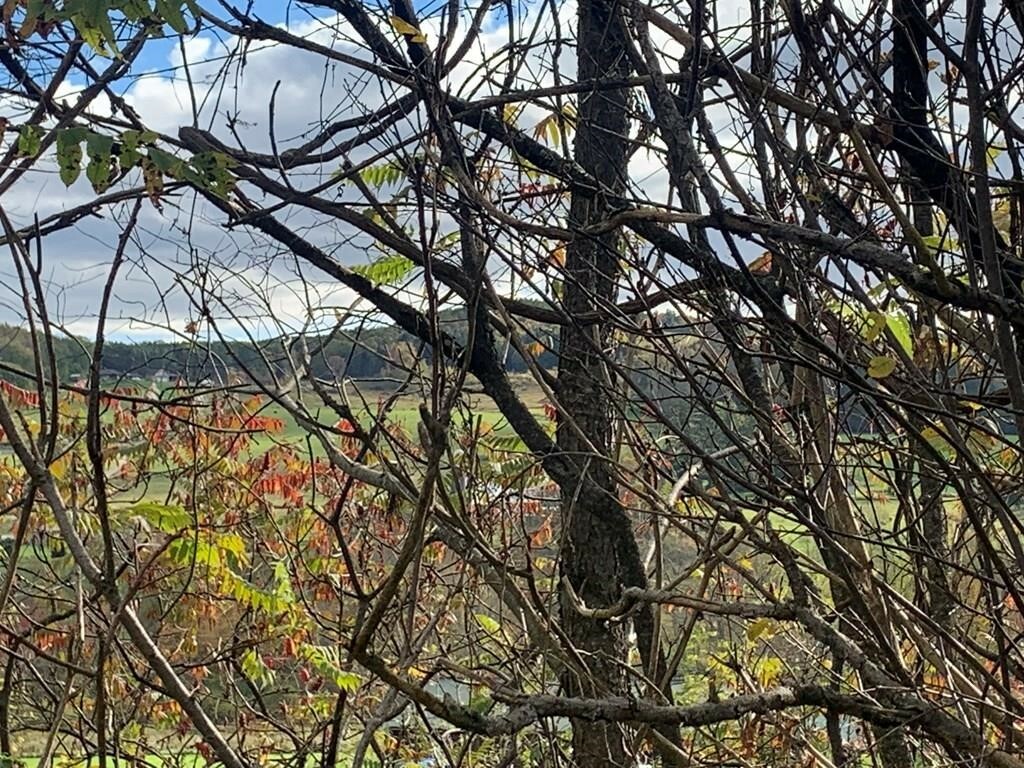 Property Photo: 0 State Rt 34 NY 14889