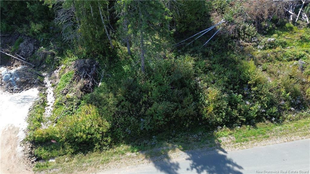 Vacant Lot Cote Bleue Drive  Bathurst NB E2A 4C9 photo