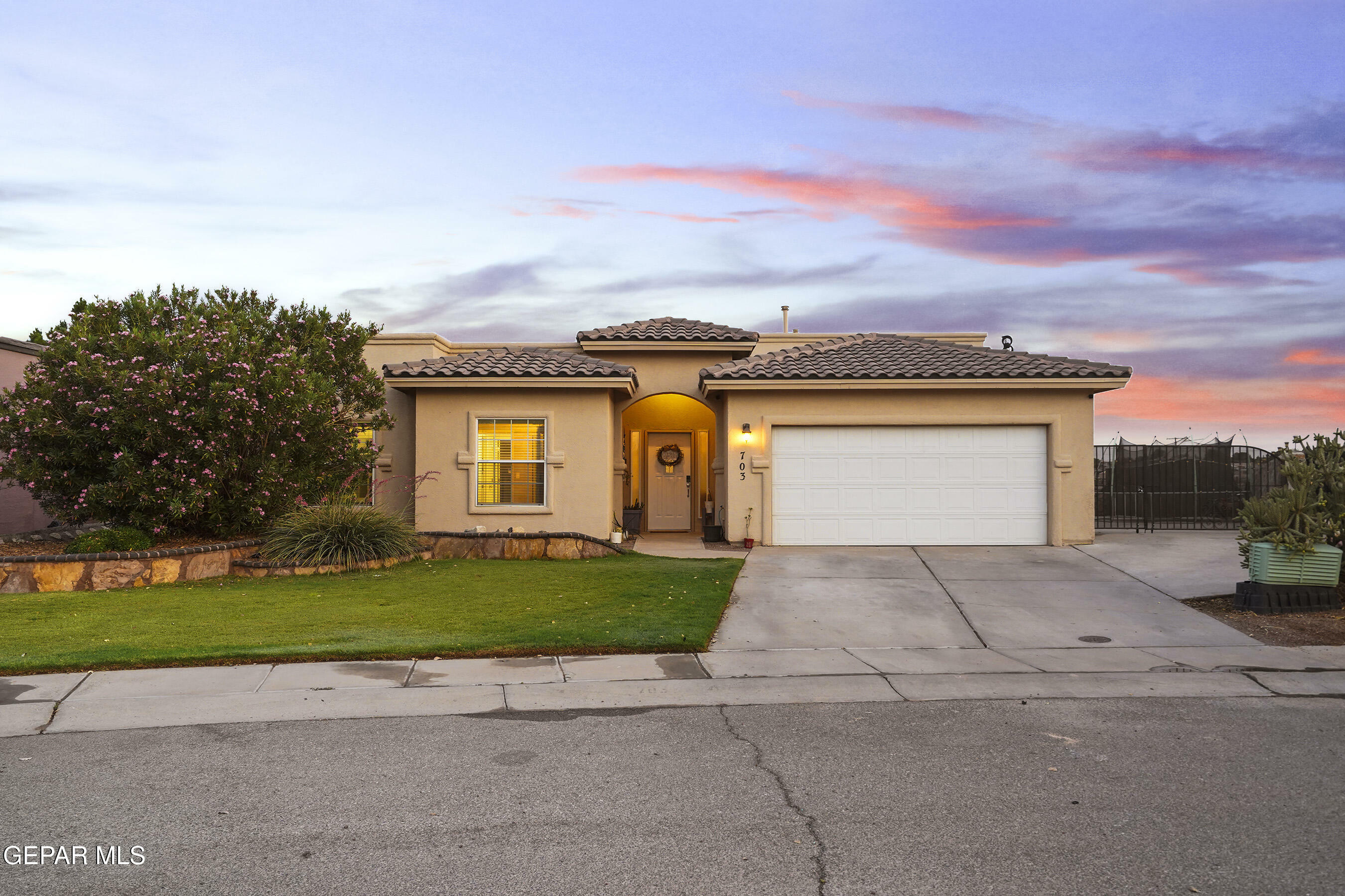 703 Arcy Street  Santa Teresa NM 88008 photo