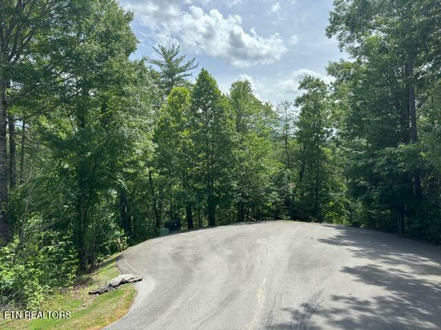 Property Photo:  Lot 18 Turkey Creek Way  TN 37862 
