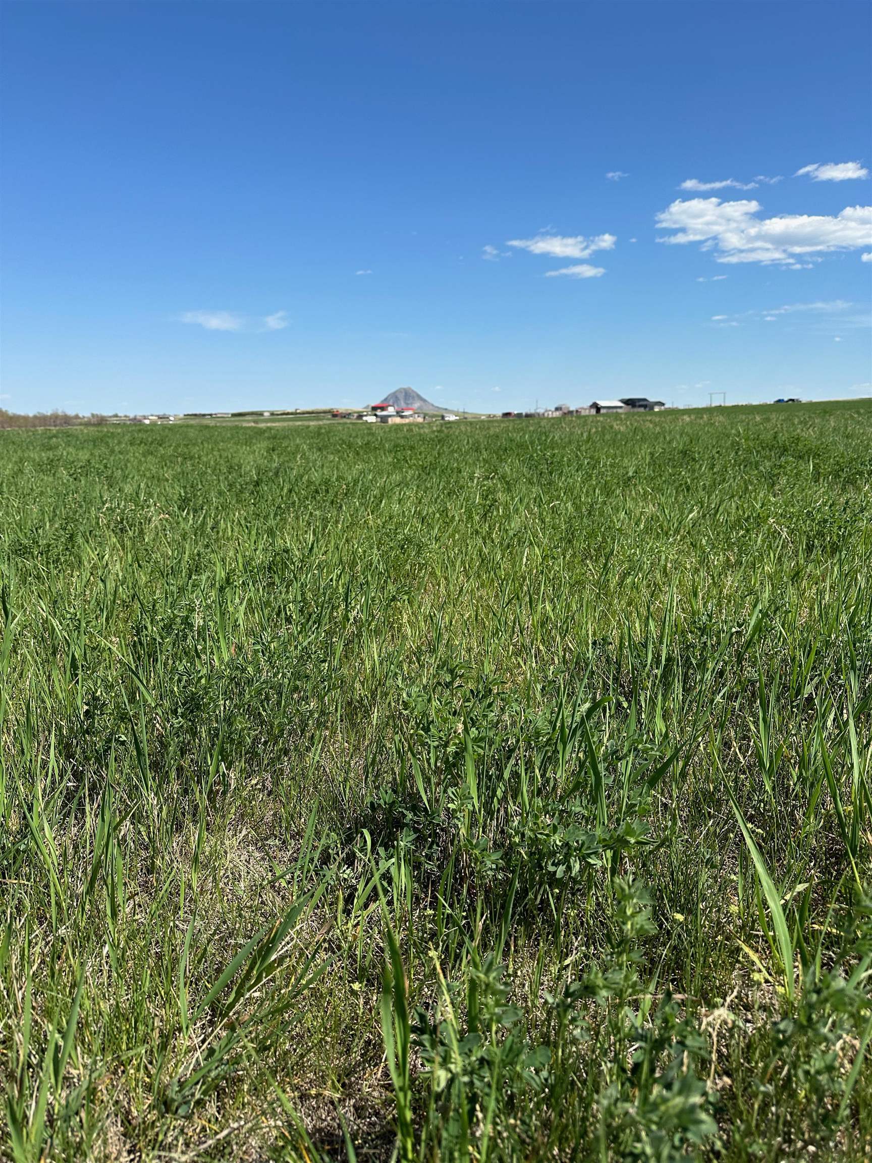 Property Photo: Tbd Bighorn Road SD 57793