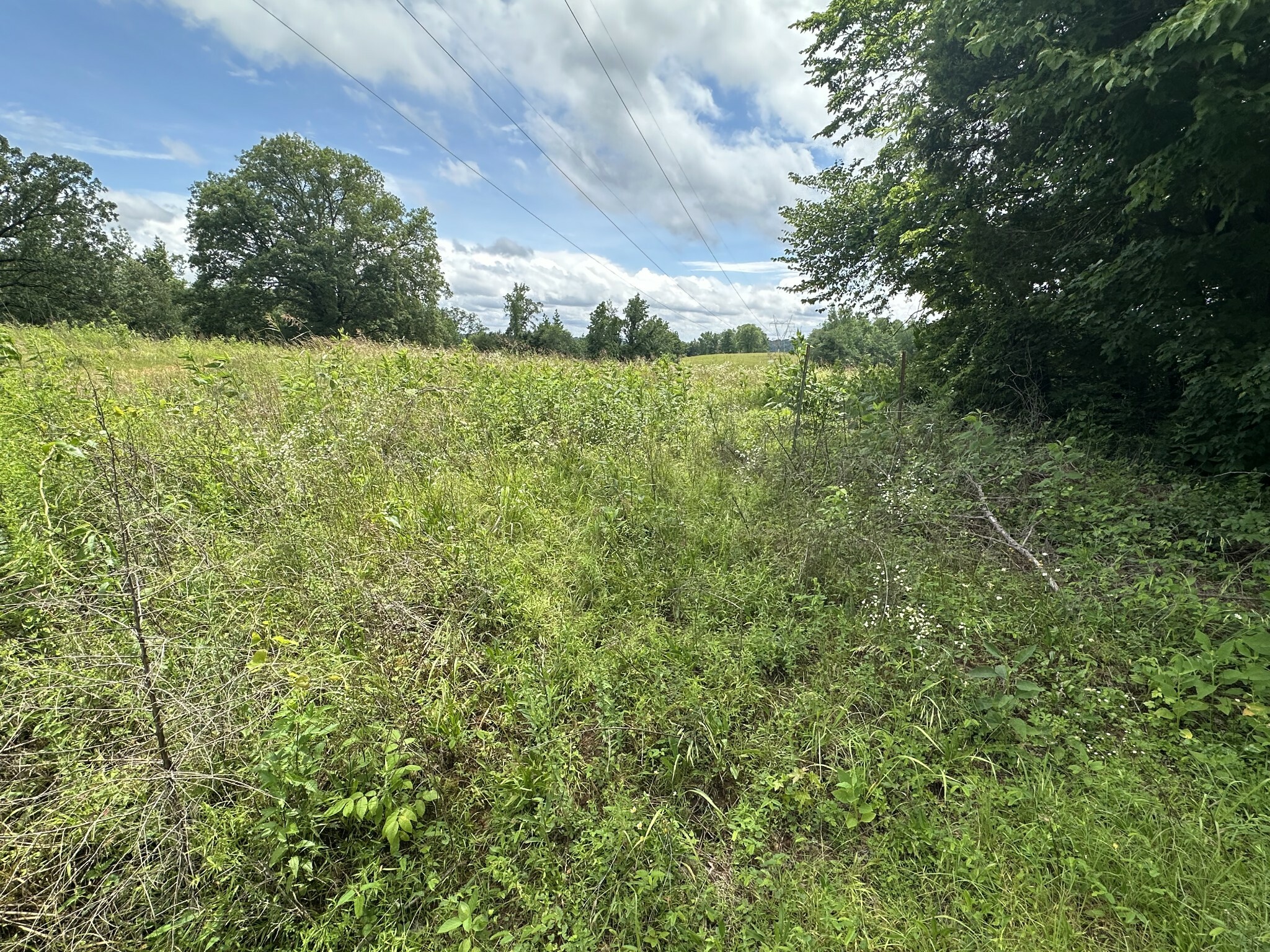 Property Photo: 0 Hardin Loop Rd TN 38486