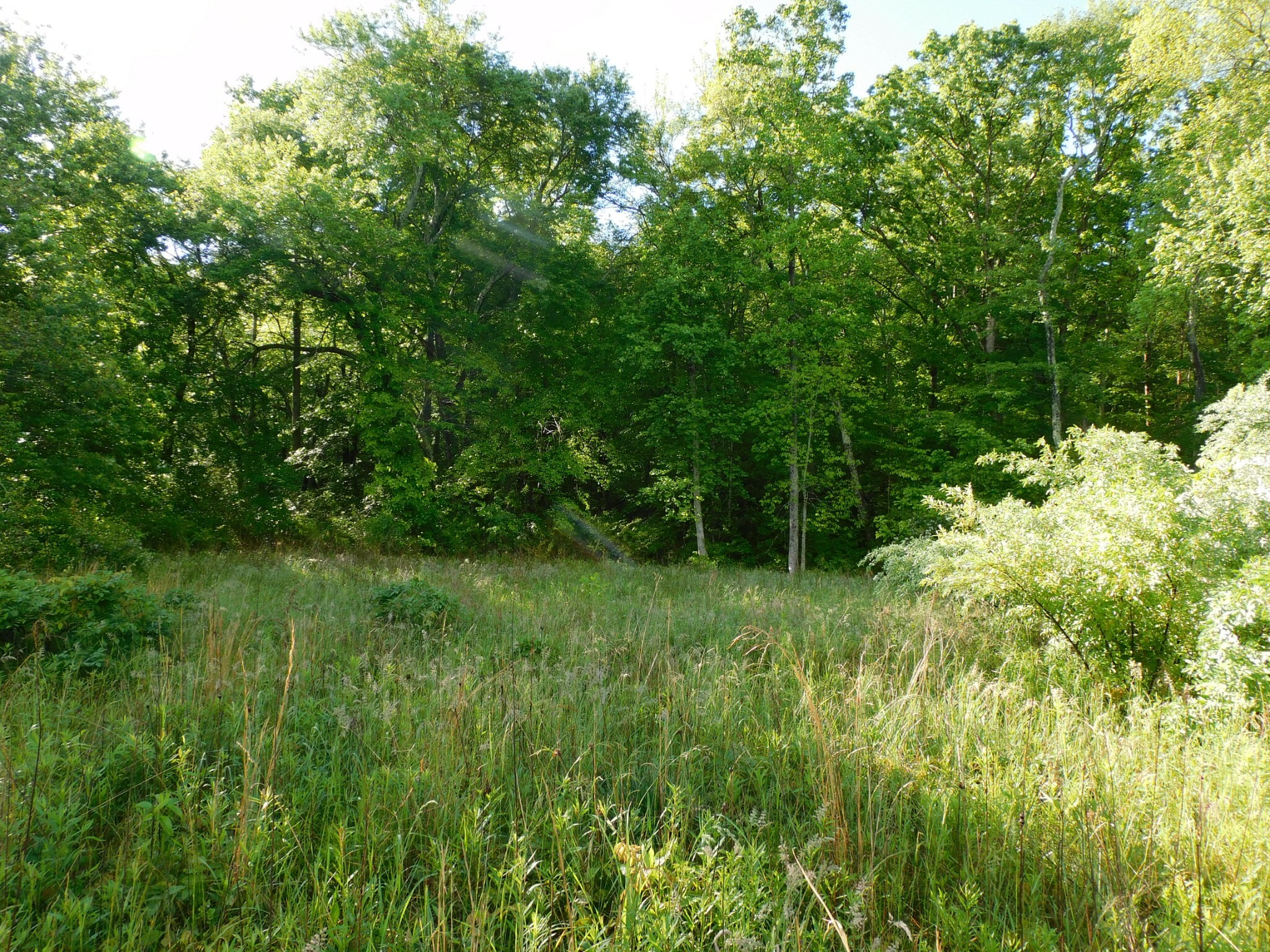 Property Photo: 2098 60th Ave S TN 37339