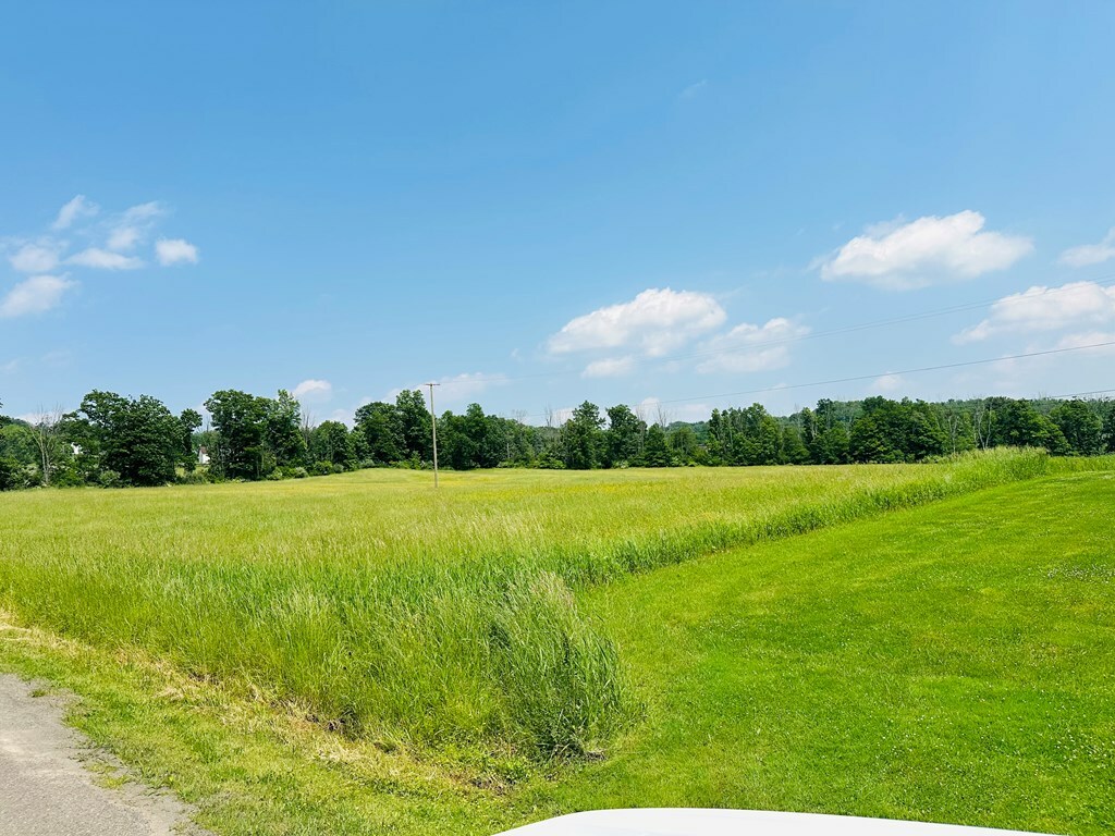 Property Photo: 0 Moore Hill Rd NY 13812