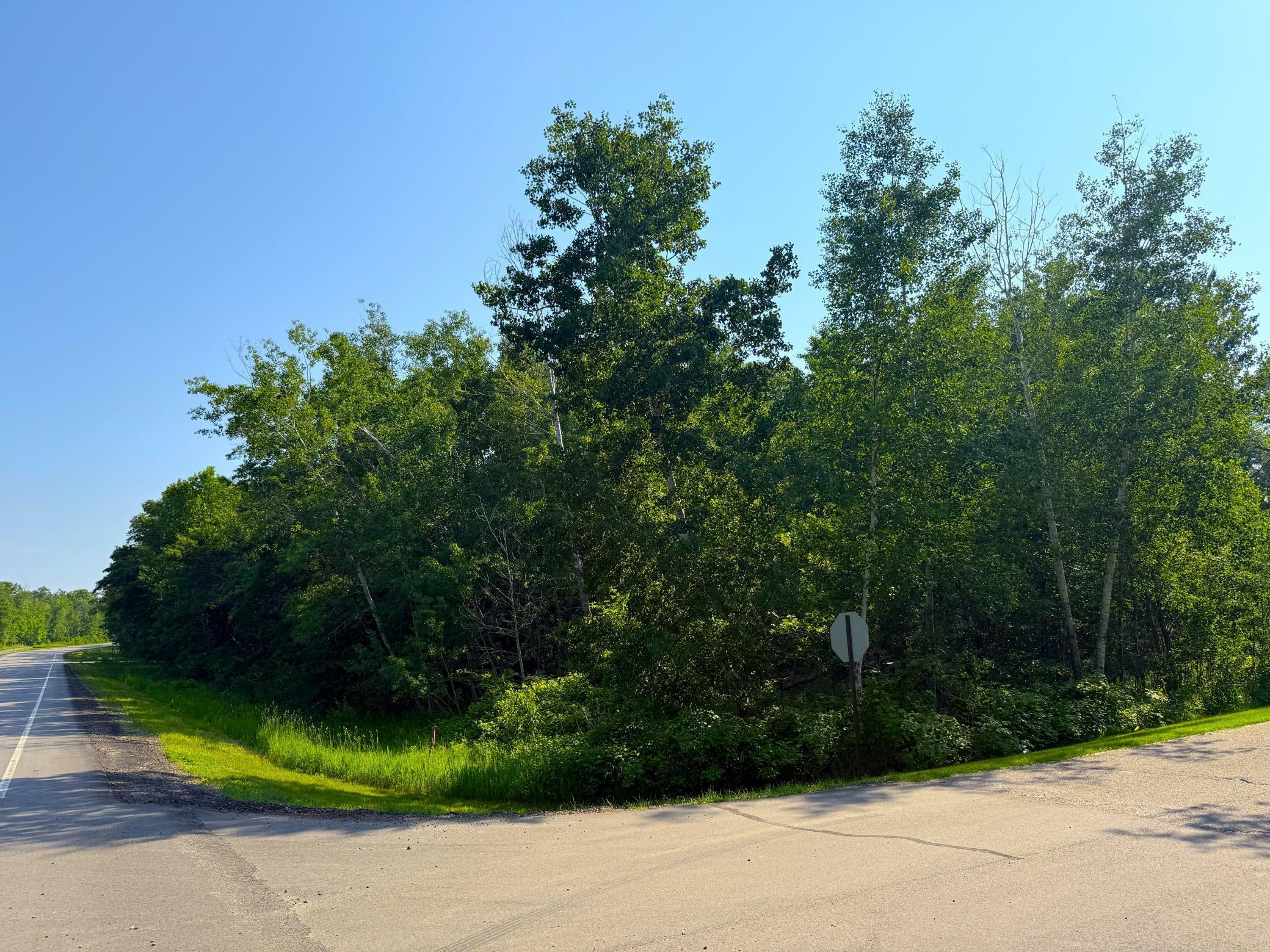 Property Photo: 000 Maplewood Drive MN 56401
