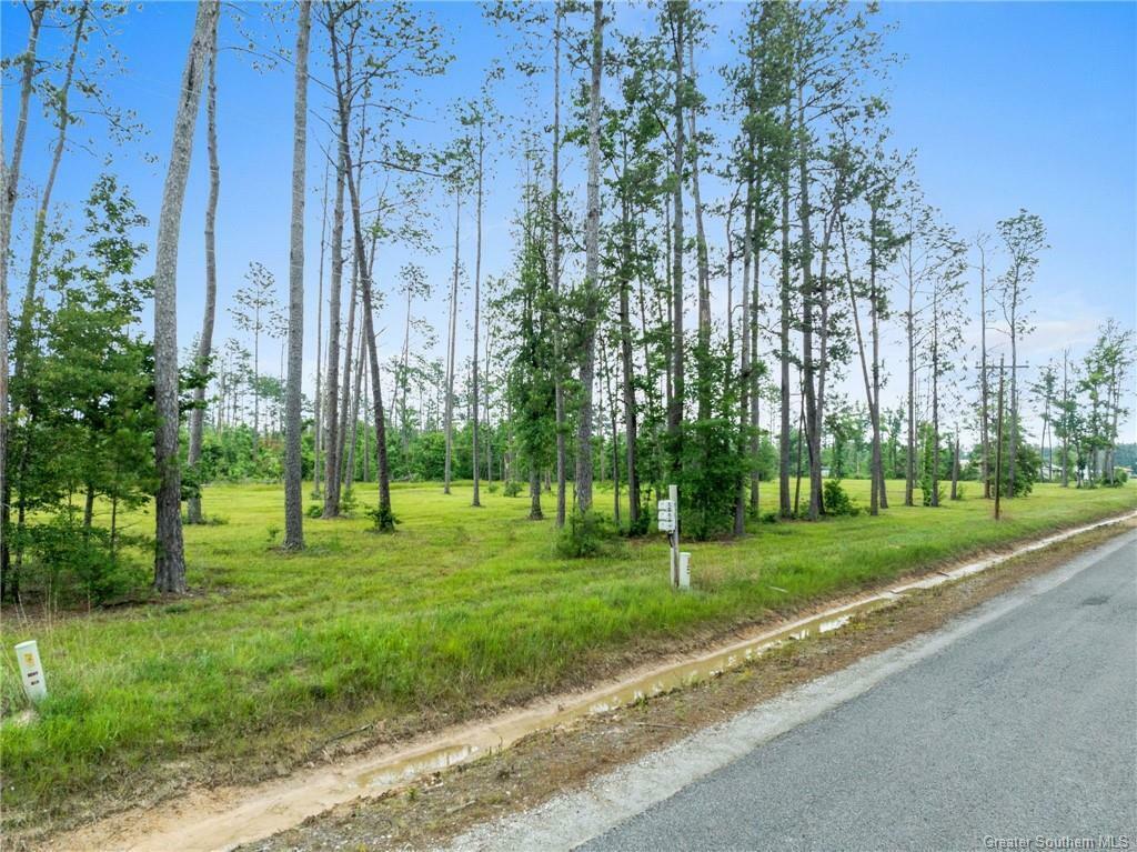 Property Photo: Duke Hollingworth Rd Tract 5 LA 70657