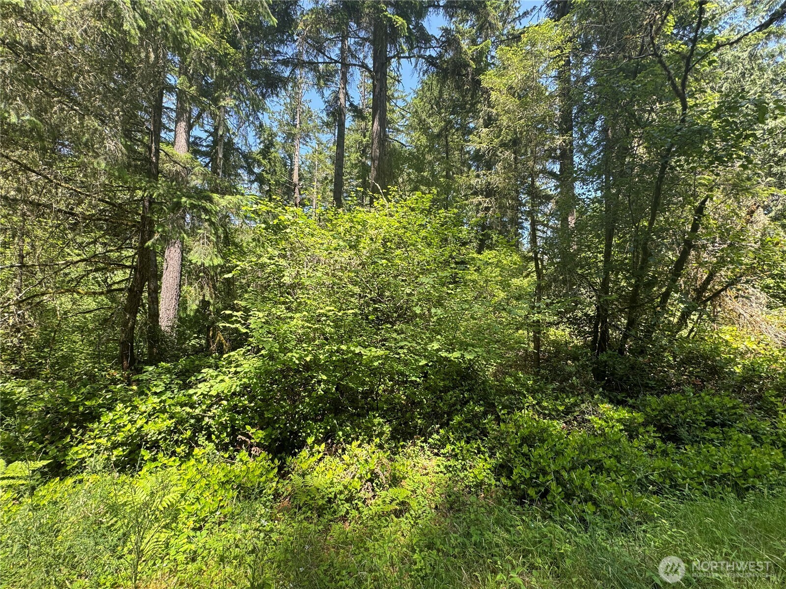 Property Photo: 11409 & 11413 Hillcrest Drive WA 98303