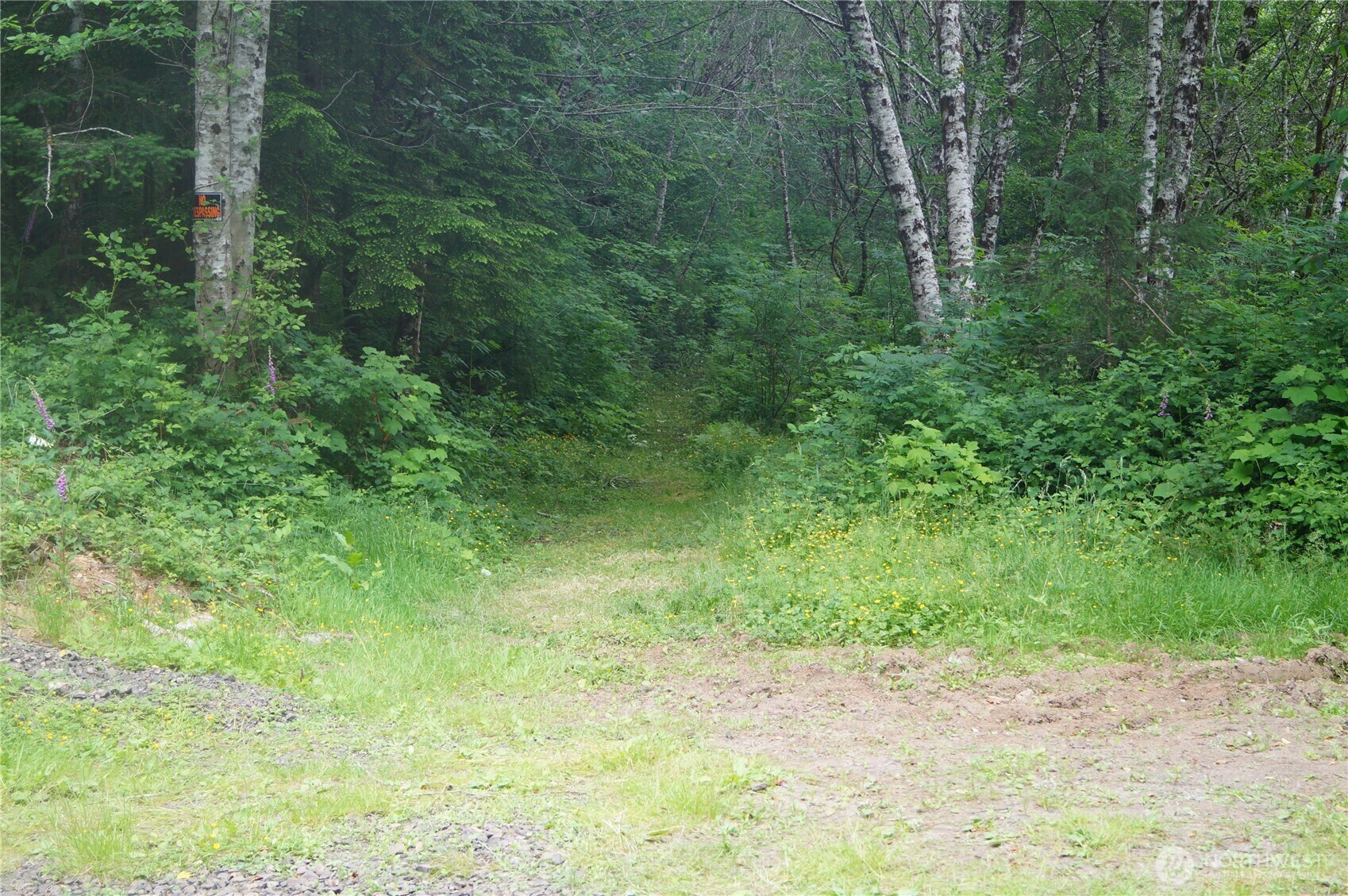 Property Photo: 0 Off Of Panhandle Road WA 98550