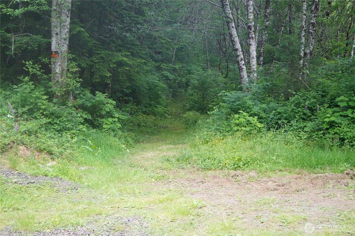 Property Photo:  0 Off Of  Panhandle Road  WA 98550 