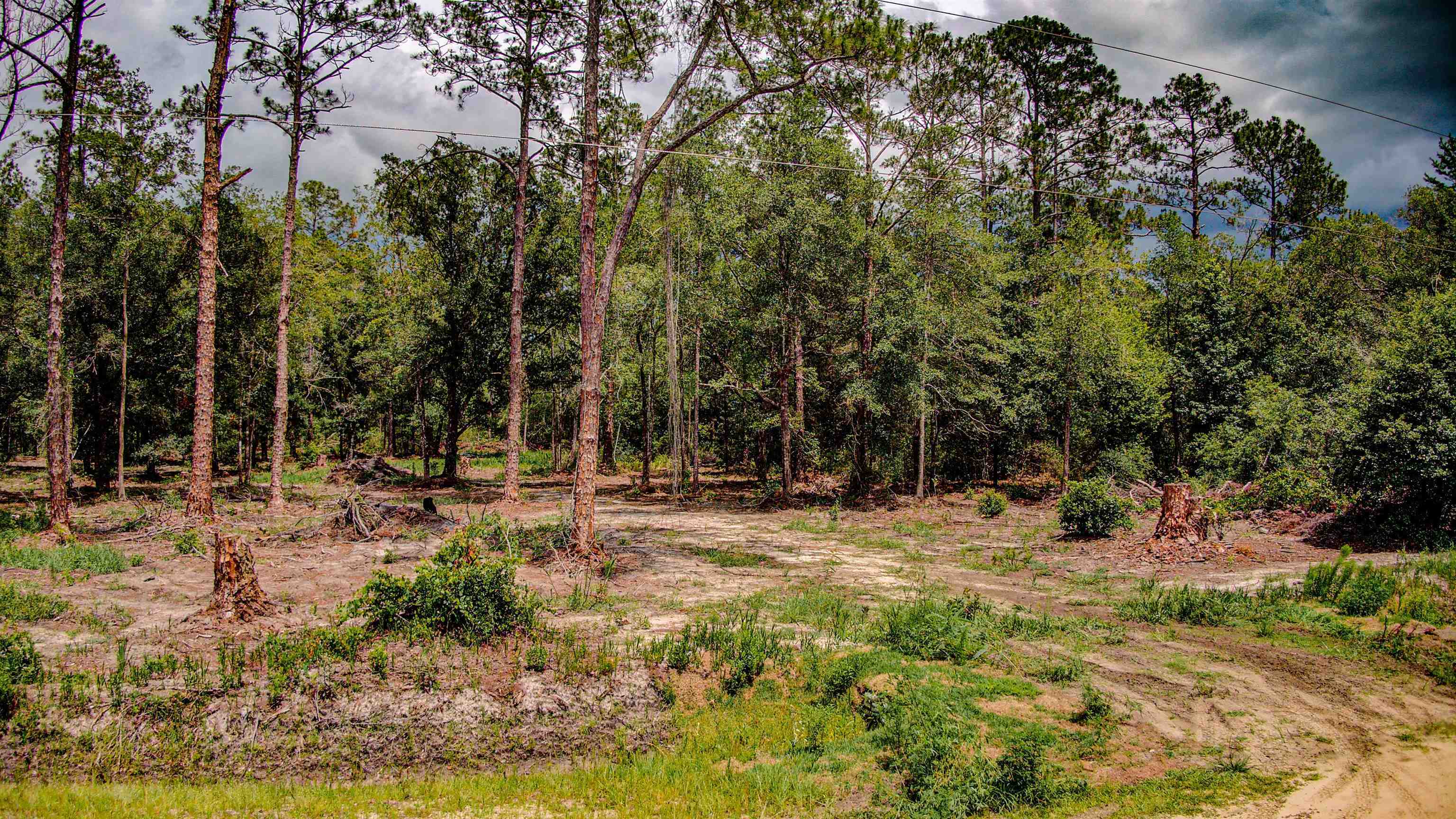 Property Photo: 10150 Delgado Ave FL 32145