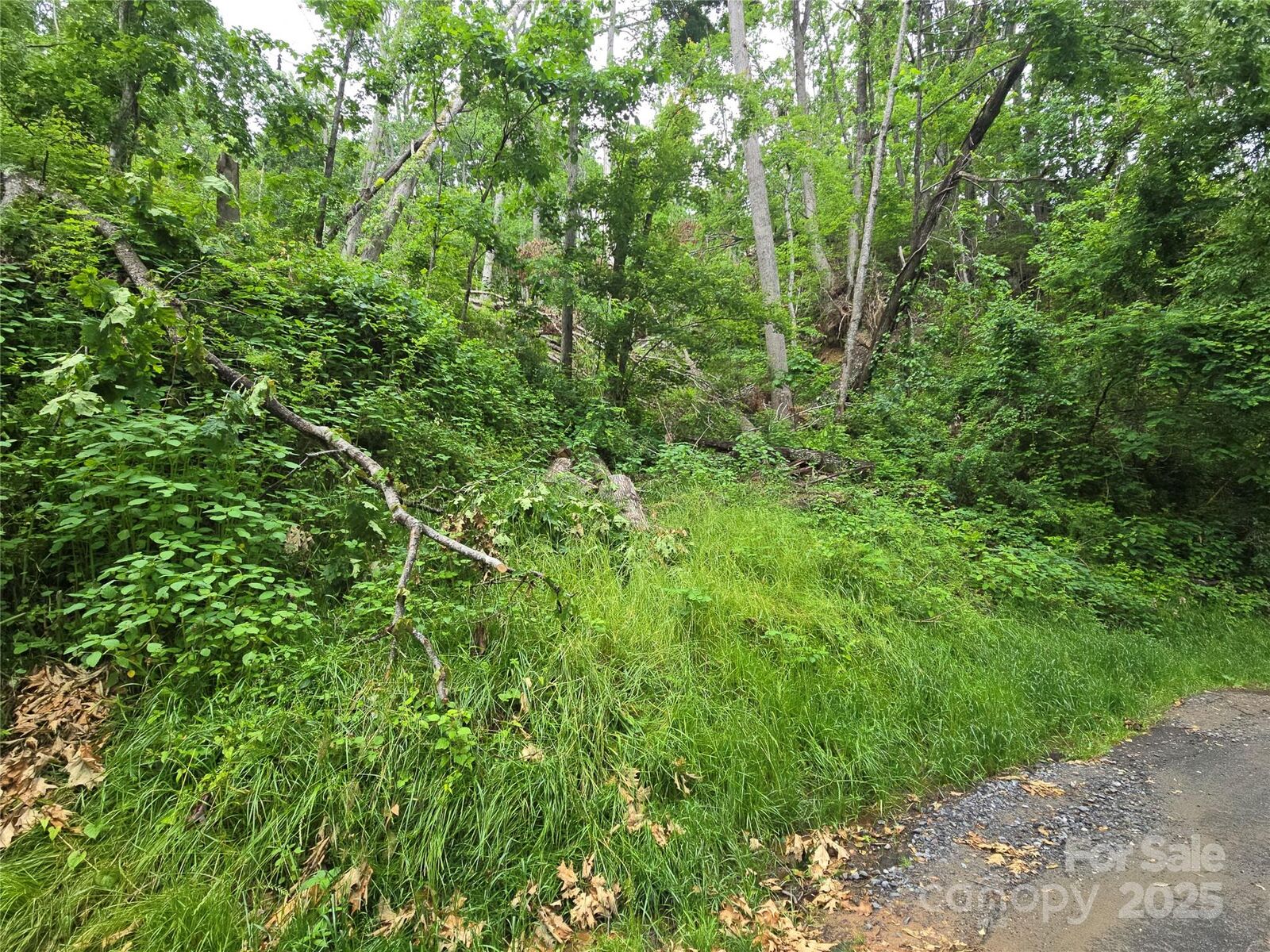 Property Photo:  89 Weeping Cherry Forest Road  NC 28730 