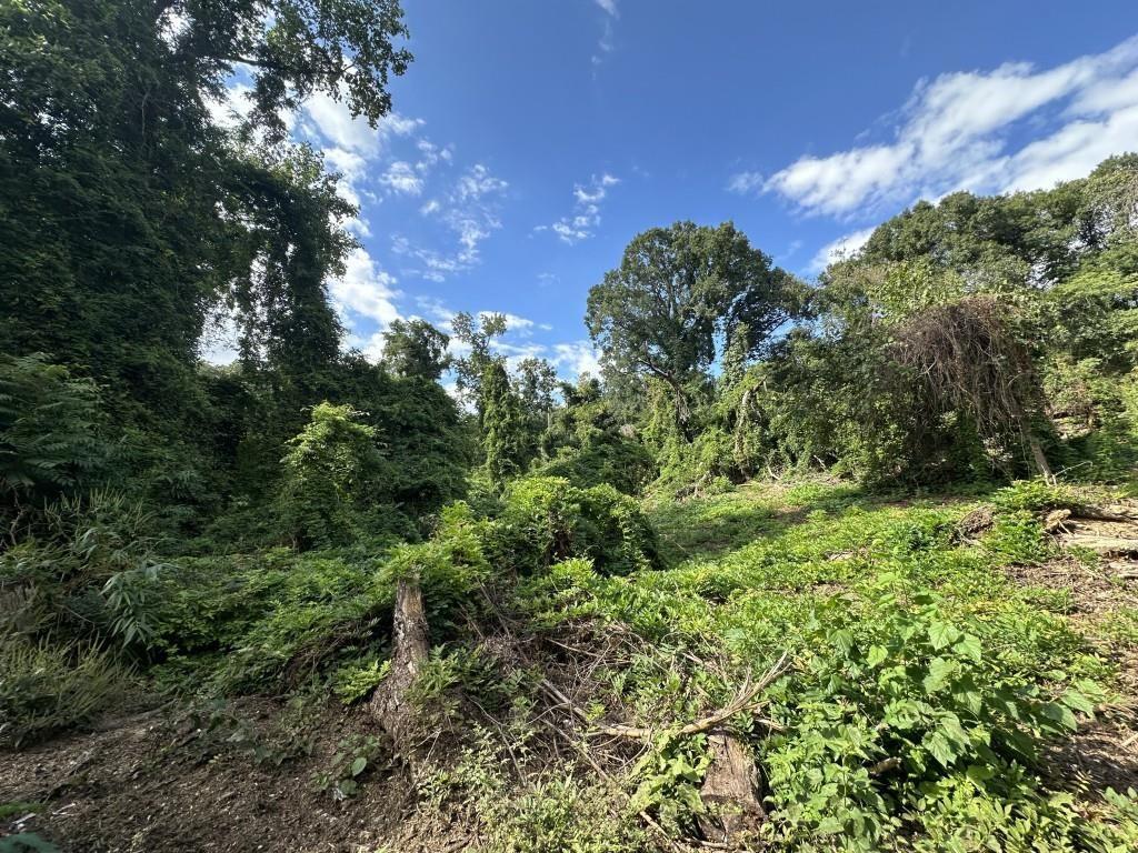 Property Photo: 00 S Lakewood Avenue GA 30315