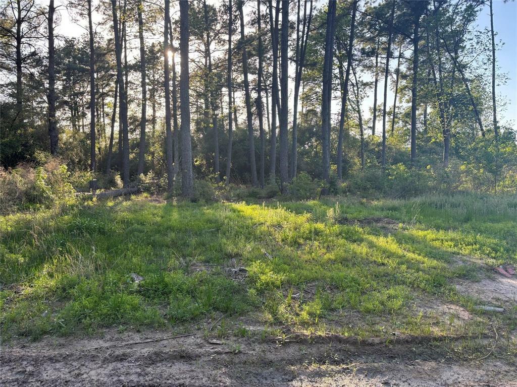 Property Photo: T. B D W Hardy Rd Road TX 77073