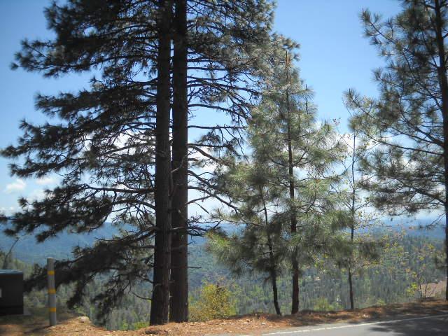 Property Photo: 1202 Heather Drive CA 95247