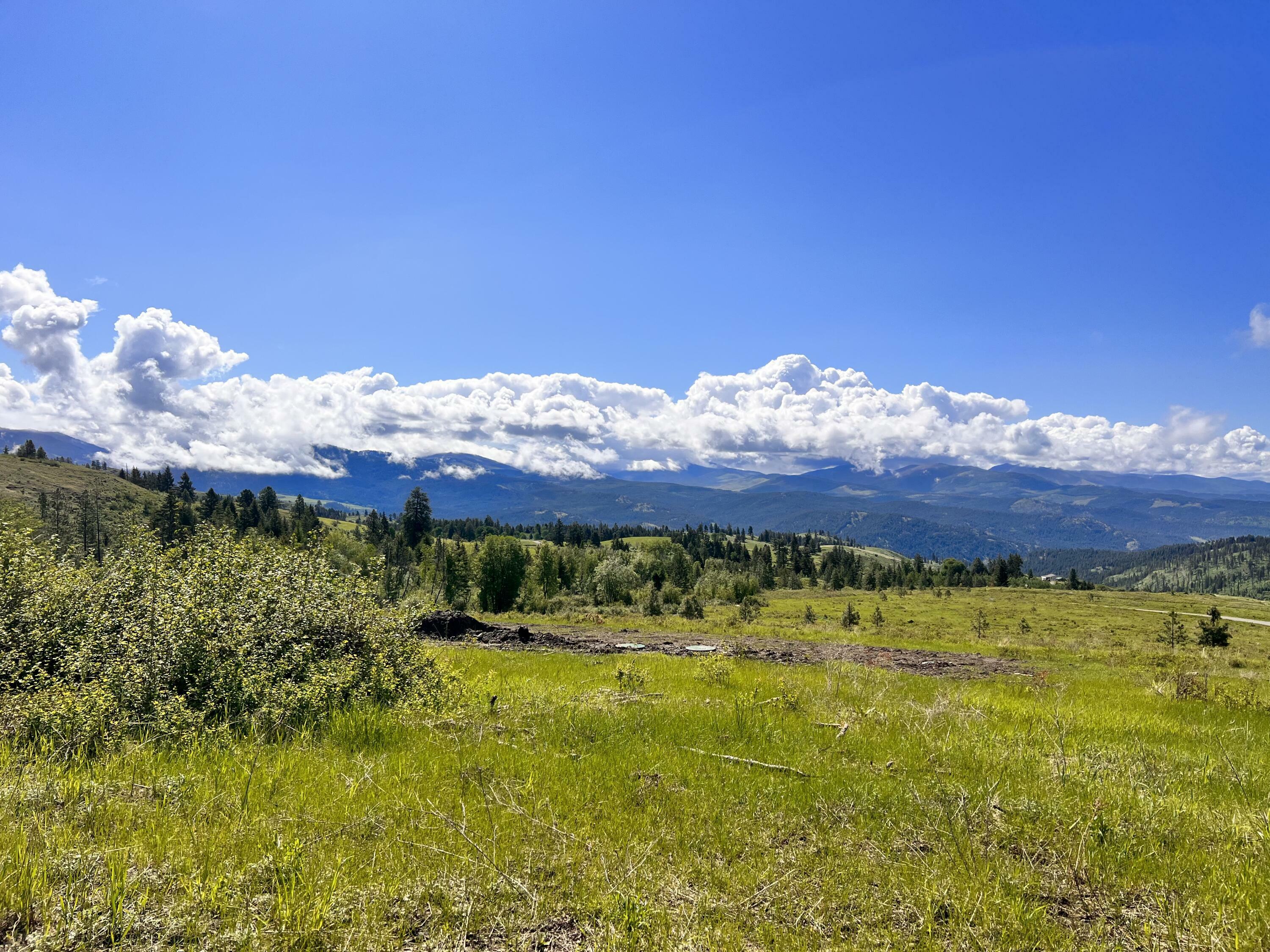 Property Photo: 44 Moonlight Dr WA 99118