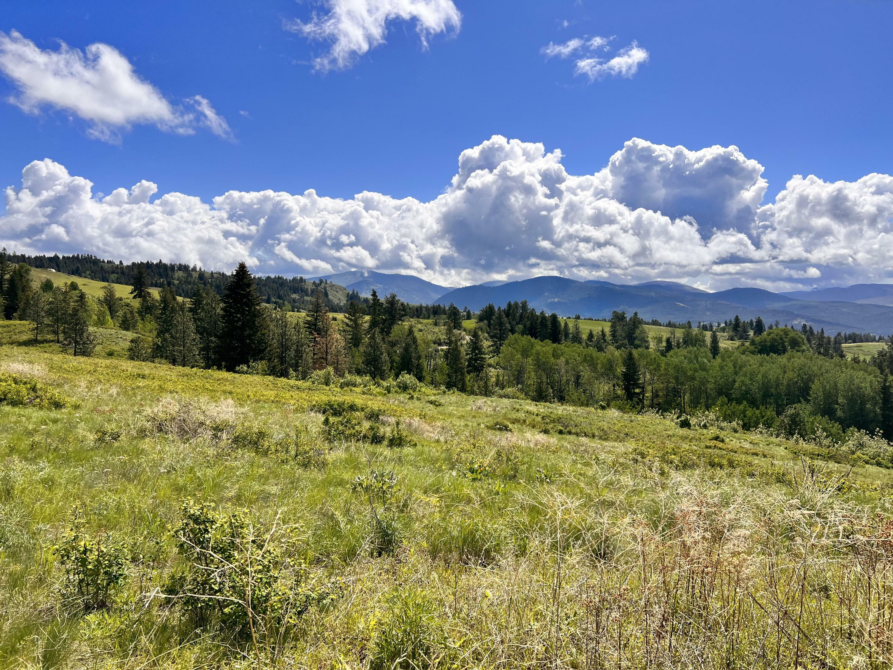 Property Photo: 27 Moonlight Dr WA 99118