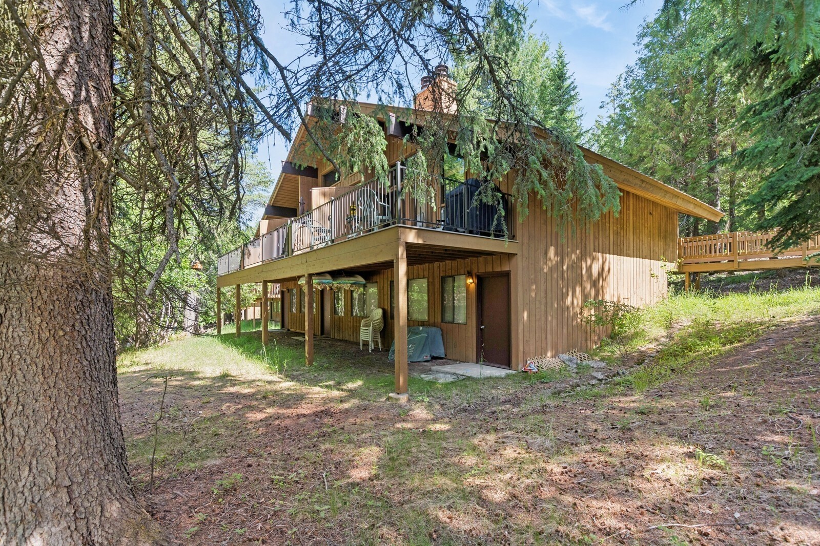 69 Limber Pine 69  Whitefish MT 59937 photo
