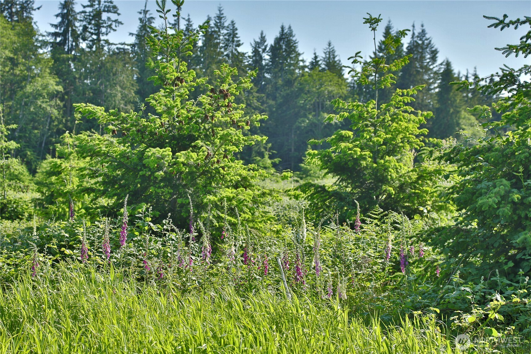 Property Photo: 2062 Goodell Road WA 98249