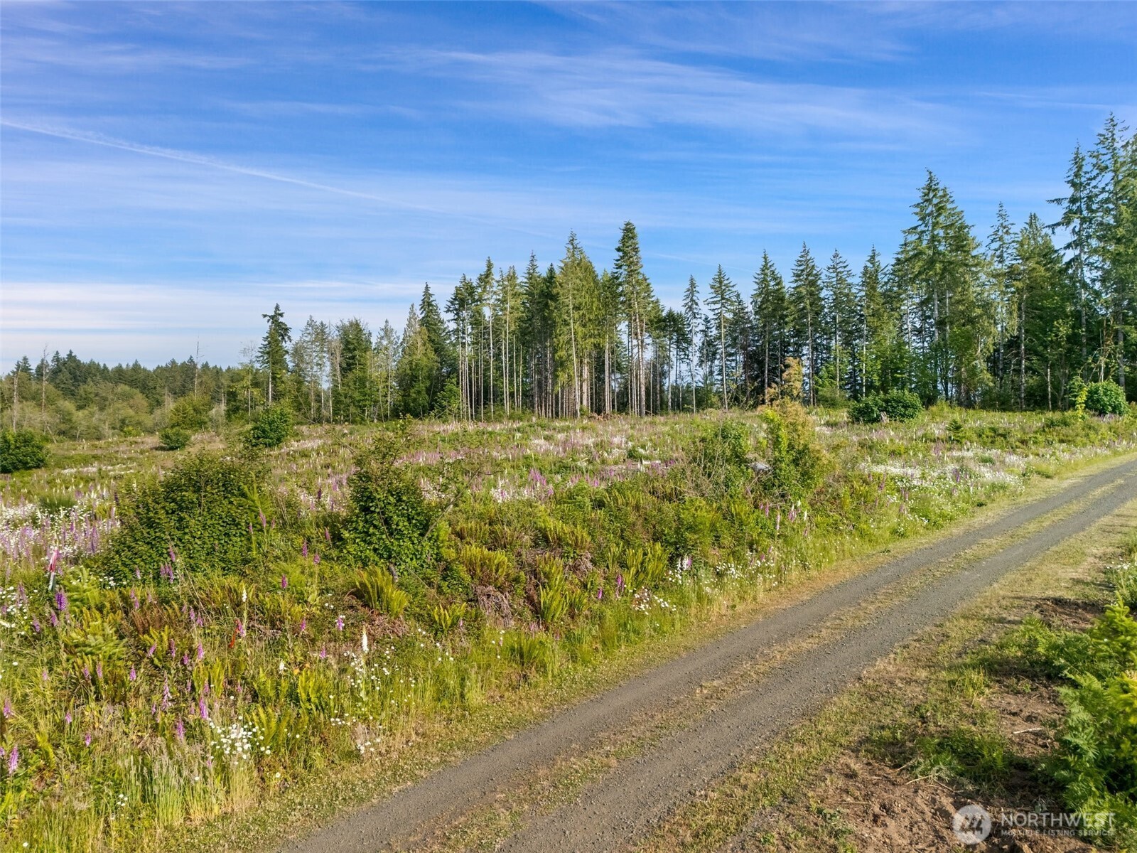 Property Photo: 0 Tr 11 SE Wellswood Way WA 98584