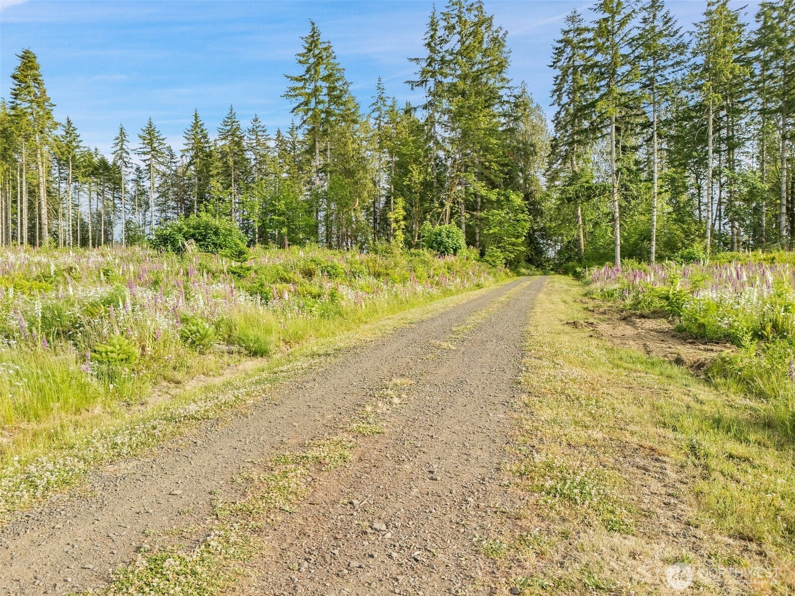 Property Photo: 0 Tr 11 SE Wellswood Way WA 98584