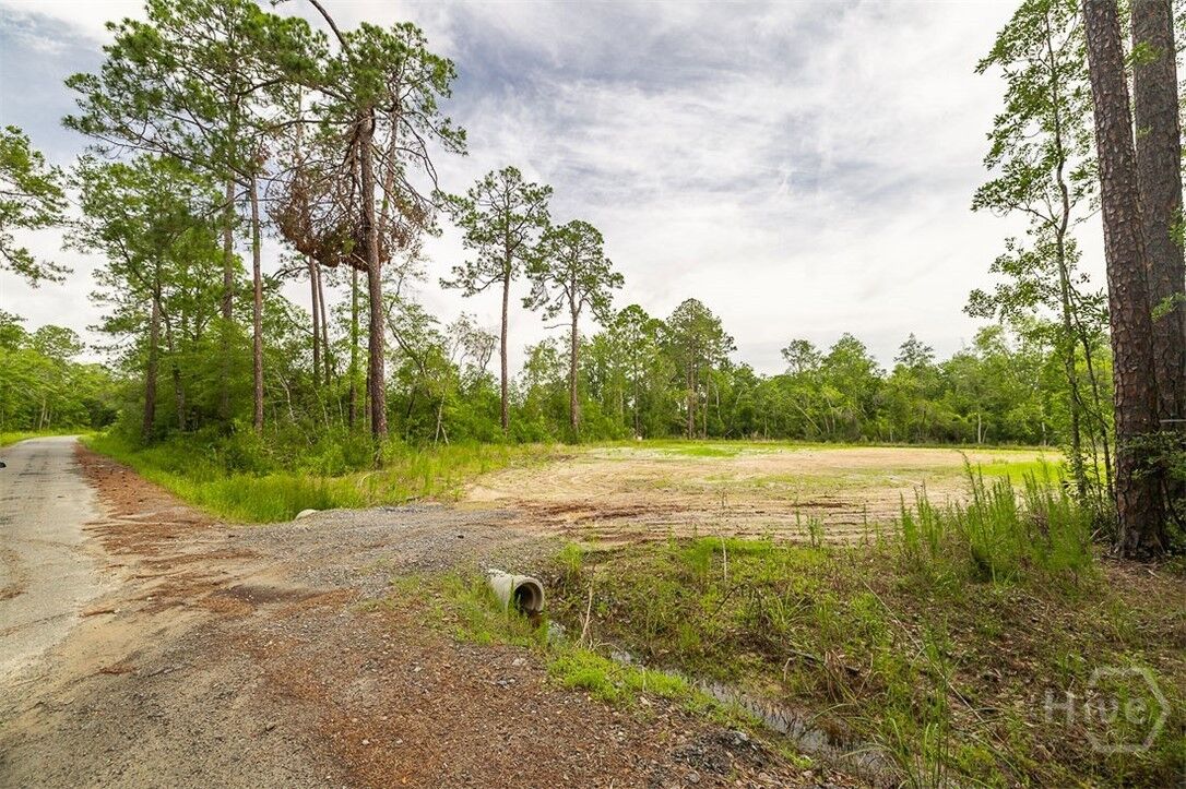 Property Photo: 0 Zettler Road GA 31329