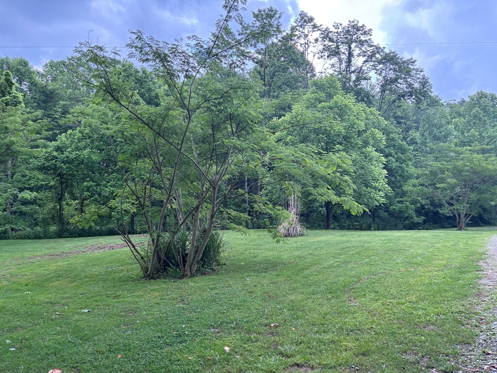 Property Photo: 0 Luckhart Road OH 45644