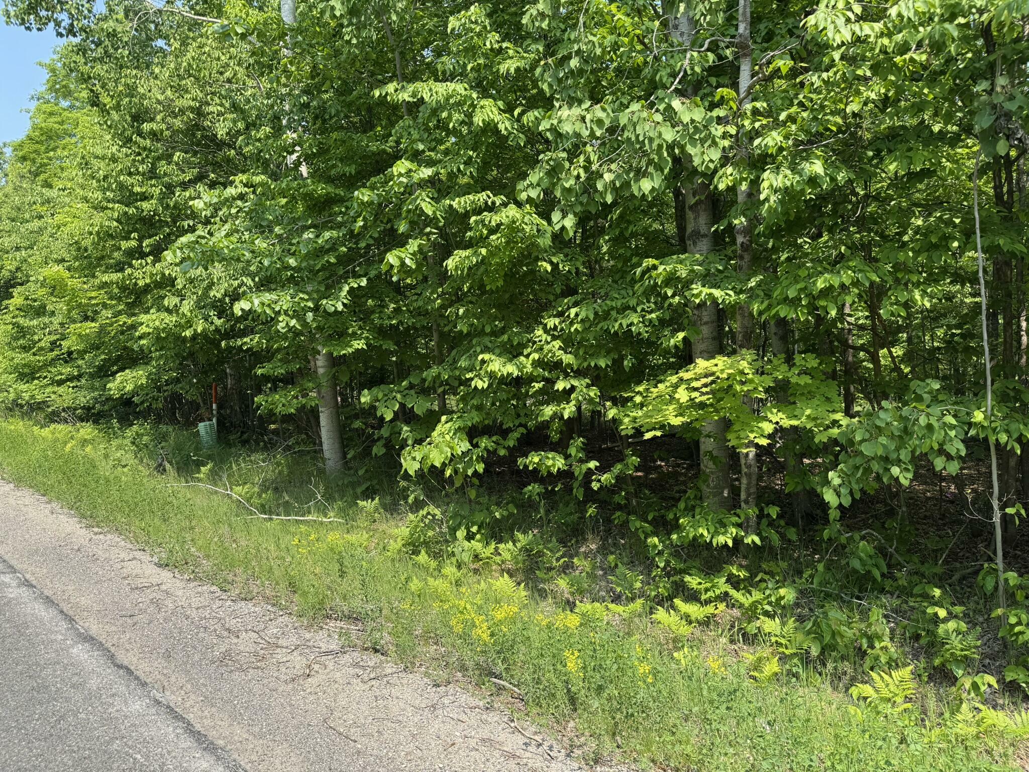 2199 Mann Road  Cheboygan MI 49721 photo