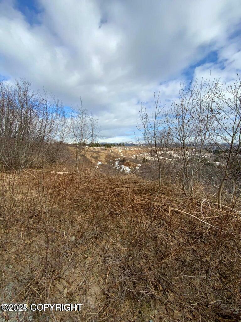 Property Photo: 36680 Fox Road AK 99556